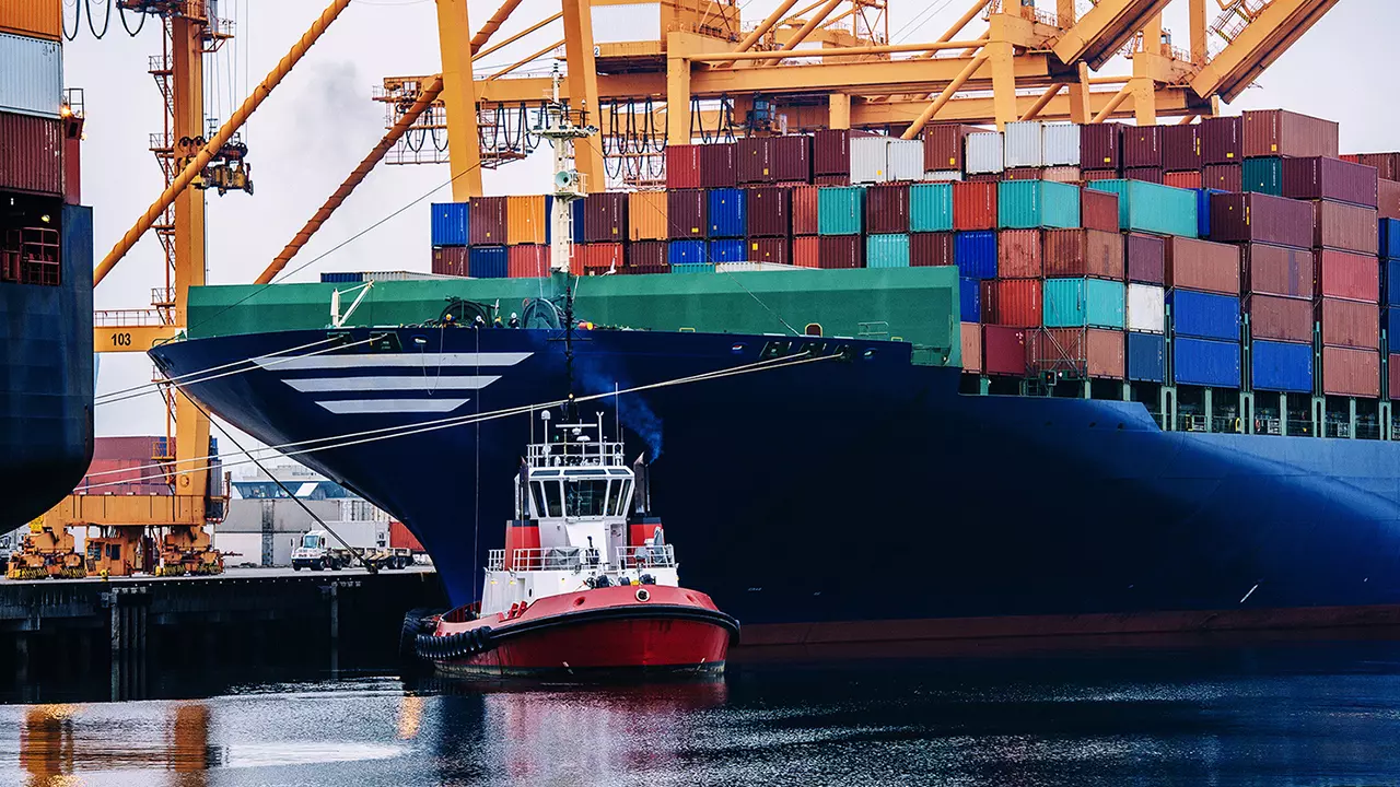 Container ship being handled at an international cargo port